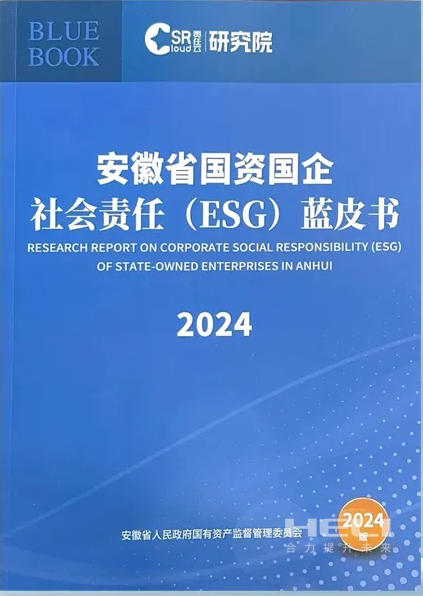 玩彩网案例入选《安徽省国资国企社会责任(ESG)蓝皮书(2024)》.png