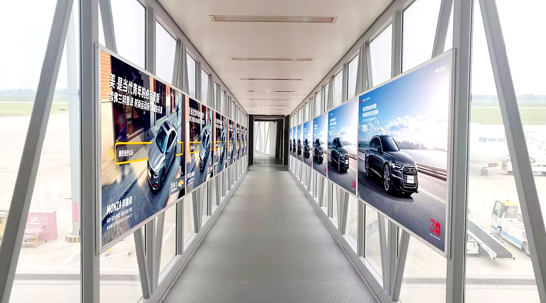 人生就是博-尊龙凯时中国官网